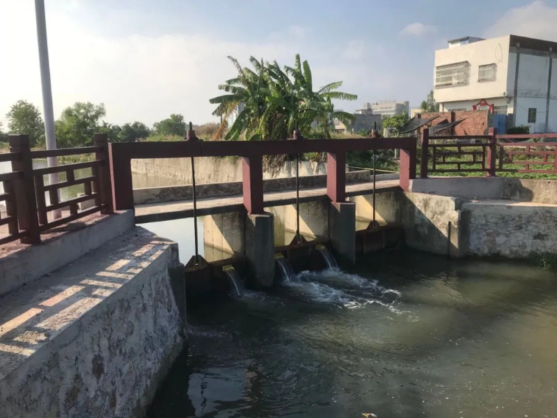 海仔沟节水闸近景,及两侧生机勃勃的农田。 图片