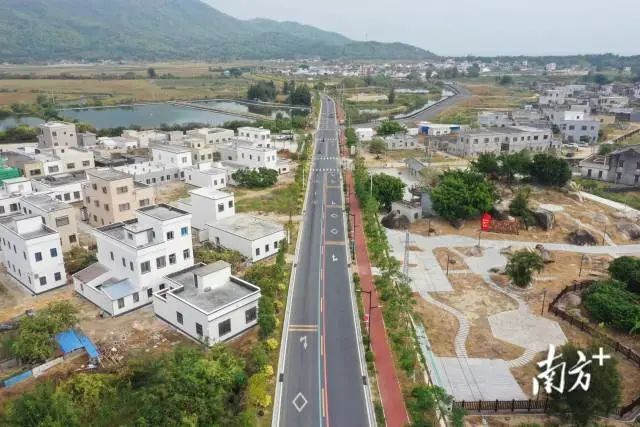 内湖村航拍图。 图片