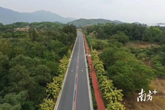 三湖路航拍图。 图片