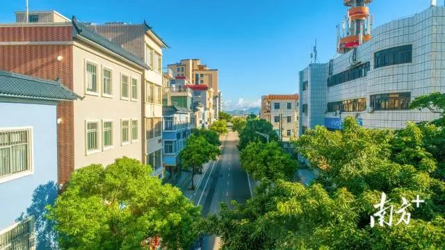 遮浪街道通南路一景。 图片