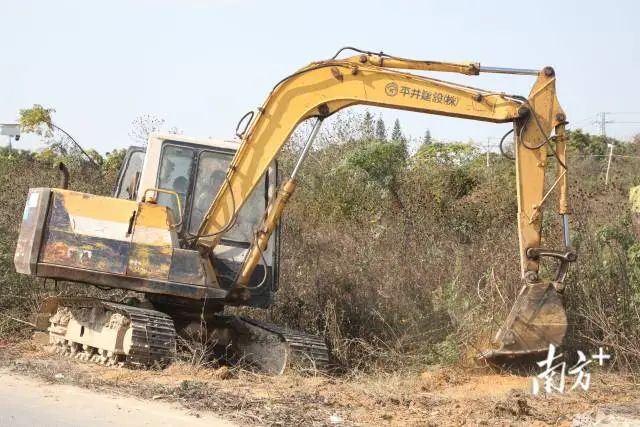 石新村村道旁挖掘机开展挖坑备种工作。 图片