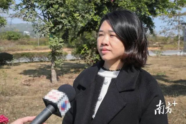 田墘街道党工委委员谭艳球接受采访。 图片