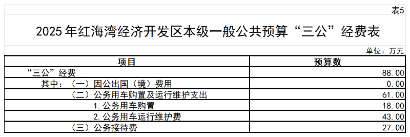 2025 年红海湾经济开发区本级一般公共预算“三公”经费表_本级一般公共预算“三公”经费表.png