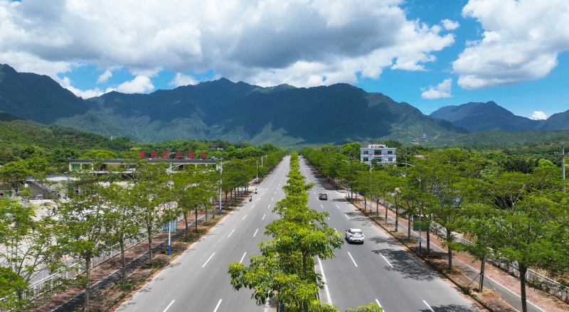 县道X128线（莲花大道）